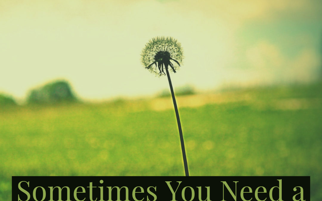Sometimes You Need a Reminder